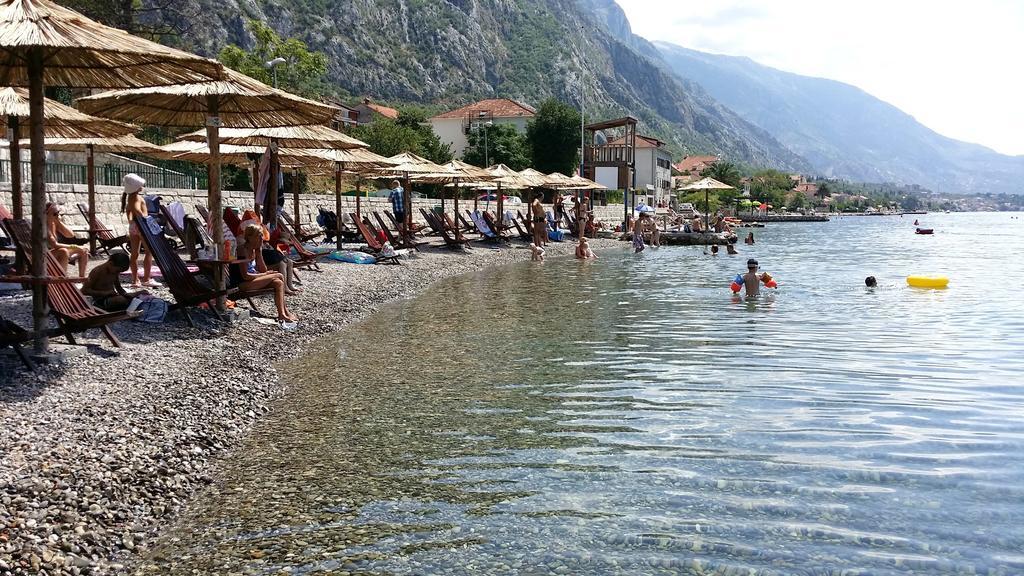 Apartments Coral Kotor Bilik gambar